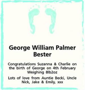 George William Palmer Bester