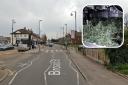 The cannabis farm was discovered in Broad Street