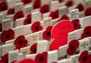 Remembrance commemorations are being held across east London