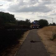 About 60 firefighters fought a grass fire near Clemence Road, Dagenham, on July 14, 2022