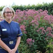 Kathryn Halford, chief nurse at Barking, Havering and Redbridge University Hospitals NHS Trust