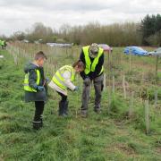 More trees are to be planted at Thames Chase.