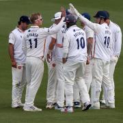 Essex players celebrate a wicket at Kent