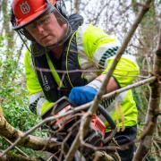 Chainsaw used to clear ditches for flood prevention