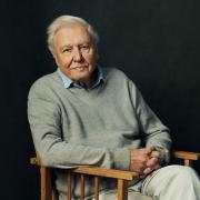 This is when Mammals presented by Sir David Attenborough will air on BBC One this year